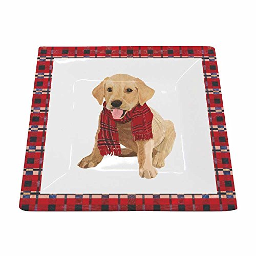 Paperproducts Design Decorative New Bone China 5.75" Square Plate - Dessert, Salad And Serving – Artistic Designs, New Bone China Plate – 5.75" Square, Patti Gay/Two Can Art, Monty Design #TOP30