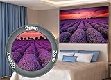✅ Entspannung und Urlaubsfeeling ✔ Holen Sie sich auch ein Stückchen Urlaub in Frankreich zu sich nach Hause und genießen Sie jeden Tag einen atemberaubenden Ausblick auf die Provence