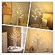 LED Baum Lichter Warmweiß, 60cm/2ft Birke LED Lichterbaum Innen mit 24 LEDs Licht, USB/Batteriebetrieben Leuchtbaum,Verstellbare Äste Innen Birkenbaum für Weihnachten Ostern Party Geburtstag Innendeko