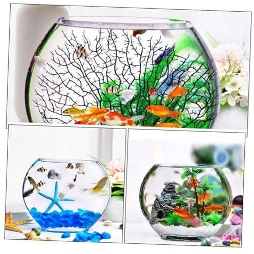 Aquarium de bureau pour poisson rouge : bocal transparent compact - 8