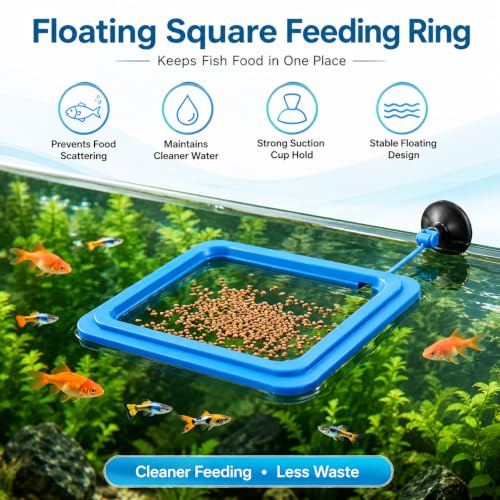 Image of VAYINATO Plastic Fish Feeder for Aquarium Tank Floating Food Feeding Ring, Square - Aquarium Fish Tank Accessories Cichild, Beta, Goldfish, Spirulina and Koi Pond - with Suction Cup