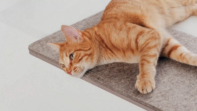 Katten vensterligplaats vensterbank antislip - Kattenbed vensterbank - Zacht & knuffelig - Vensterligplaats voor katten zelfverwarmende kattendeken - Wasbare hoes - 60x25 cm - Bruin lange vacht