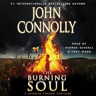 Burning Soul Volume 10 Audiolibro Por John Connolly arte de portada