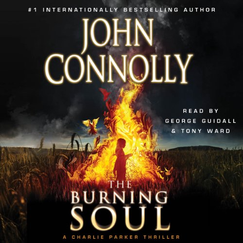 Cover art for The Burning Soul