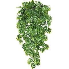 Turtle Leaf Vine/ 2 Pack
