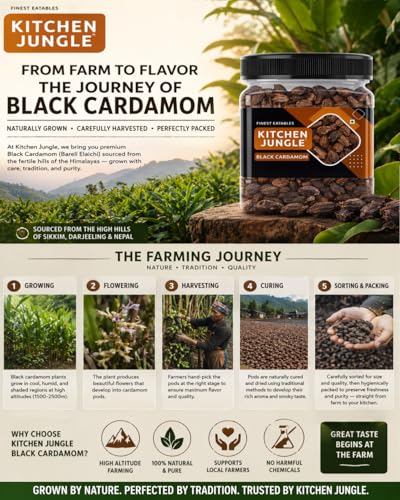 Image of Kitchen Jungle Premium Black Cardamom (Kali Elaichi) 100g | Bold Whole Badi Elaichi Pods | Strong Smoky Aromatic Spice for Biryani, Garam Masala, Curries & Indian Cooking
