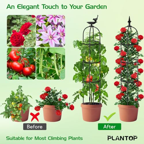 Plantop PT115 2 Pack Garden Obelisk Trellis For Climbing Plants Outdoor 6.6Ft - 78", Rustproof Pe Coated Metal Plant Cages & Supports, Heavy Duty Round Garden Trellis thumb #2