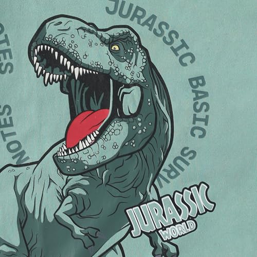 Image of Jurassic World Rebirth Boys 2 Piece Short Sleeve T-Shirt and French Terry Shorts Set for Big Kids