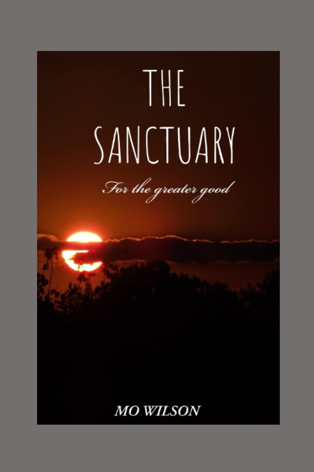 SANCTUARY: For the greater good (THE SANCTUARY)