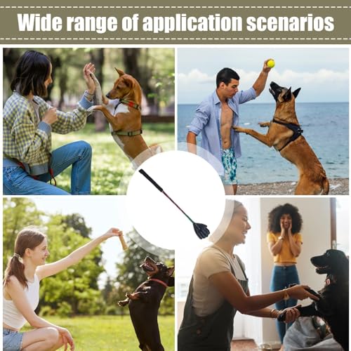 Target Stick Hundetraining,Trainingsstäbe für Haustiere,Tragbare Flirtstange für kleine Hunde - Multifunktionaler Trainingsstab, Haustierbedarf für den Haushalt, Haustier-Trainingsausrüstung für die H