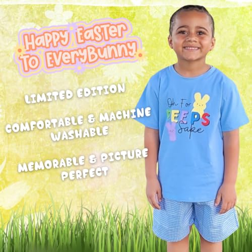 Image of Boys 2pc Shorts Set Outfit Short Sleeve Shirt with Classic Applique Print and Shorts