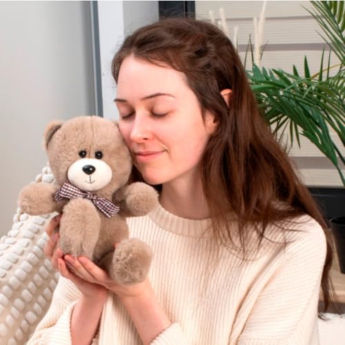 FANCY Plüschtier Teddybär Braun 21 cm Teddy Kuscheltier Bär Plüsch Stofftier Süß Plush lustige Geschenk für Kinder und Erwachsene, Mädchen und Jungen