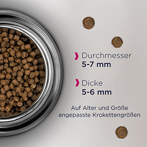 Eukanuba Junior Katzenfutter trocken - Premium Trockenfutter für Kitten von 1-12 Monate, fördert gesundes Wachstum, hoher Fleischanteil, 2 kg