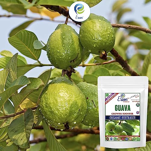 Image of Erwon Guava Growth Booster for Soil, Premium Essential Powerful Organic Fertilizer for Overall Growth of Guava Plants, with Charged Micro-Organism and ++ Micronutrients (400 gm)