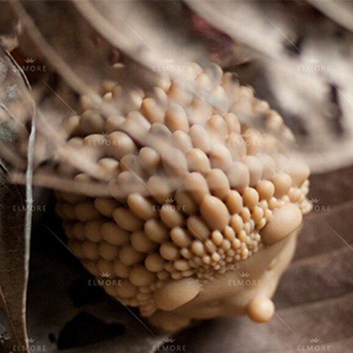 Grainrain Soap Mold Silicone Craft Flower Soap Making Mould Candle Resin DIY Handmade Mold (11279)