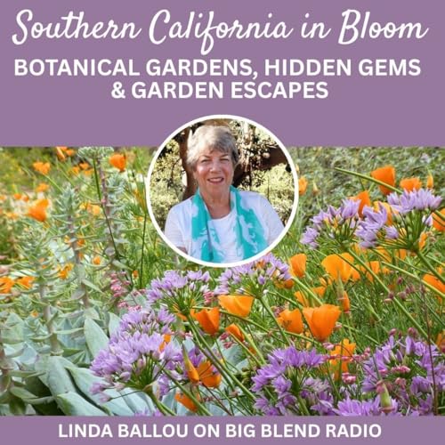 Southern California in Bloom: Botanical Gardens, Hidden Gems & Garden Escapes