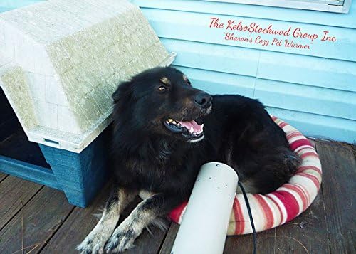 sharon's cozy pet warmer