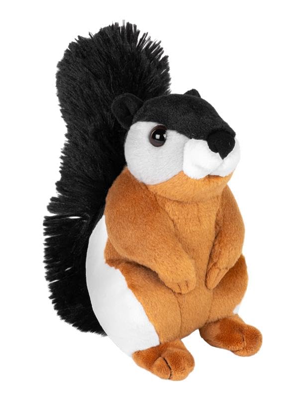 Amazon.com: Wild Republic Cuddlekins Mini Prevost Squirrel