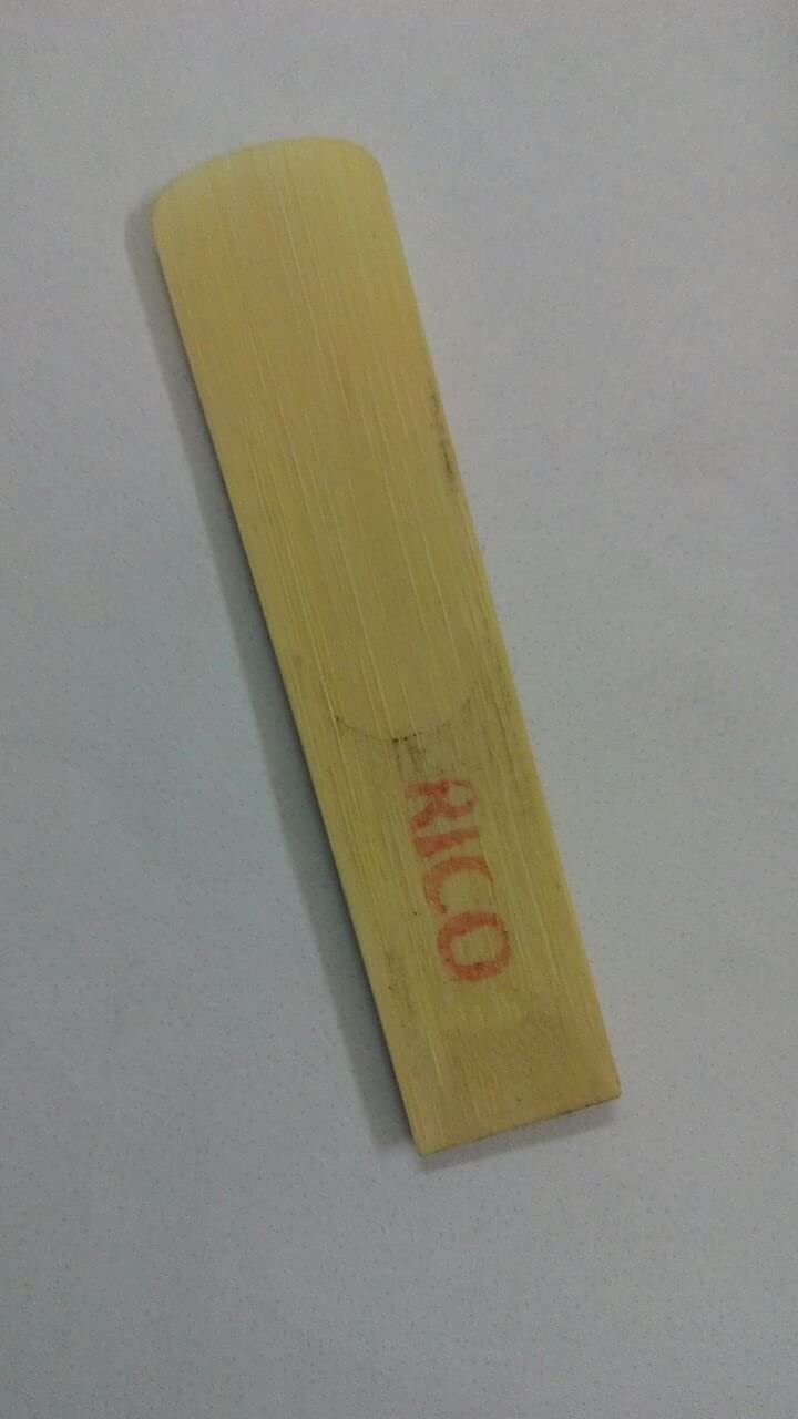 sai enterprises GREAT OFFER Saxophone Reed Rico, English Cane Reed-picture-3