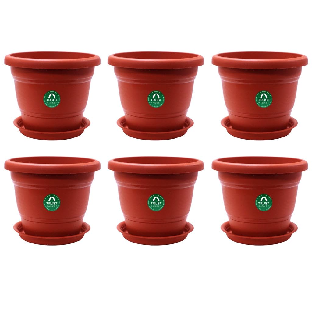 See full amazon price history chart for TrustBasket Terracotta pots with Bottom Plates - 6 Pcs (6 inch) | Gamla for Plants with Saucer | Pots and planters with Tray | Garden pots & Bottom Plates TrustBasket Terracotta pots with Bottom Plates - 6 Pcs (6 inch) | Gamla for Plants with Saucer | Pots and planters with Tray | Garden pots & Bottom Plates (B0CY2VSVNT) Amazon Price History, Amazon Price Tracker