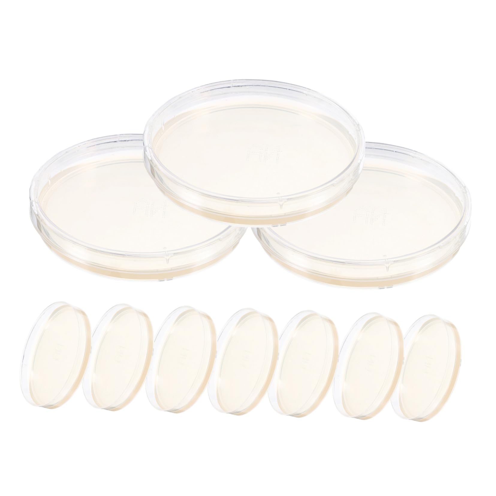 STOBAZA Lab Agar Plates Agar 10 Pack Petri Dishes Science Experiment Supplies for Students