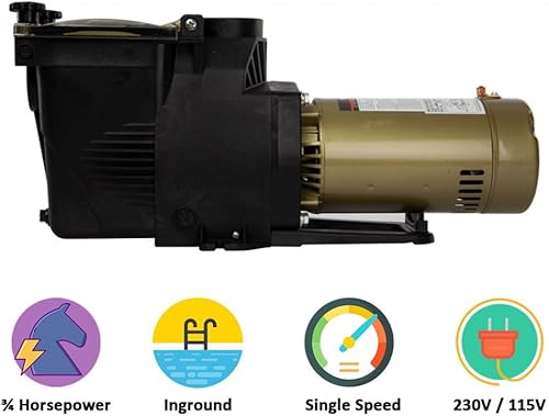 Miniatura 3 de Rx Clear Ultimate Niagara - Bomba de piscina de 34 HP para piscinas enterradas, marco 56, 115230 voltios, 8.54.3 amperios, a prueba de corrosión,