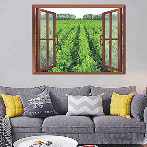 Image of CVANU Beautiful View Fresh Green Leafy Plants Radiant with Sunshine with Blue Sky Filled with Bunch of White Clouds Removable Faux Window Wall Sticker /Decals for Living Room etc Cv 41