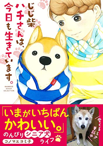 じじ柴ハチさんは、今日も生きています。 (BAMBOO ESSAY SELECTION)