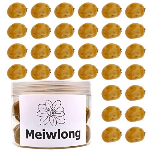 Meiwlong 30 Pcs Realistic Fake Potato For Decoration Artificial Vegetables Kitchen Home Garden Decor Accessories Vase Filler Fall Harvest Farmhouse #TOP30
