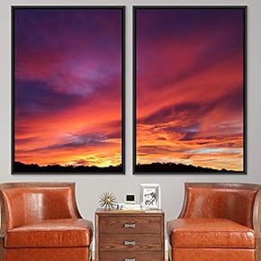 signwin 2 Piece Framed Canvas Wall Art Colorful...