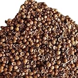 kiskick 200 Unids/bolsa Semillas de Cilantro Vitaminas Comestibles Fácil de Cultivar Fácilmente Plantar Semillas de Cilantro para Cultivar Al Aire Libre Su Propio Jardín de Hierbas Orgánicas Verde