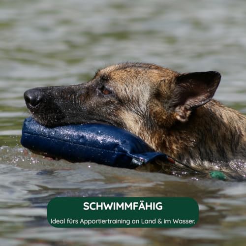 Romneys Junior Dummy 250 g - Für das Hunde- und Apportiertraining, schwimmfähig (blau)