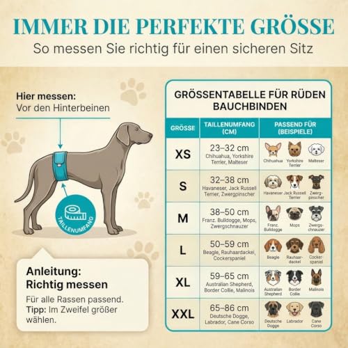 HUND IST KÖNIG Hundewindeln für Rüden [3 STK] Saugstarke Hundewindeln Rüde | Bequeme Hunde Windeln bei Inkontinenz Hund - Umweltfreundliche Rüdenwindel waschbar | Hundewindel leicht zu reinigen