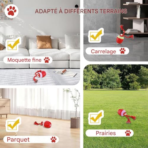 Balle interactive pour chat active le jeu en salon et chambre - 5