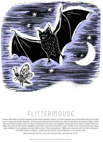 Tom Cox's 21st Century Yokel Poster: Flittermouse (Tom Cox's Country Yokel Posters)