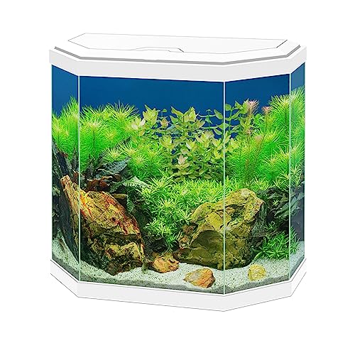 Ciano Aqua 30 White LED Hexagonal Children's Stylish Cold Water Gold Fish Tank