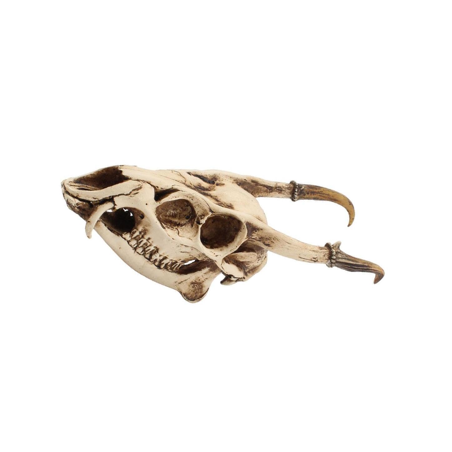 PIXZCSA Innovative Jackalope Wall Mount Adds Whimsical To Space Goat Skull Head Sculpture Figurines Bone Model