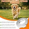 Collare Antiparassitario per Cani (2PCS), 8 mesi di protezione contro pulci, zecche e zanzare, collare antipulci regolabile e impermeabile per cani di piccola, media e grande taglia, 65 cm
