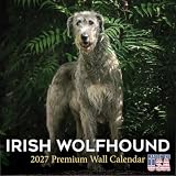 Irish Wolfhound Calendar 2026-2027, 16-Month 12x12 Wall Calendar