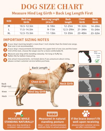 Image of Adjustable Support Dog ACL Brace Hind Leg,Both Leg-Upgraded-XL Size