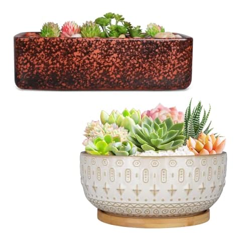 Fivepot 10+8 Inch Ceramic Succulent Planter Pots for Indoor Plants Hole Clay Flower Pot with Drainage Hole Round Shallow Bonsai Pot with Bamboo Tray Cover
