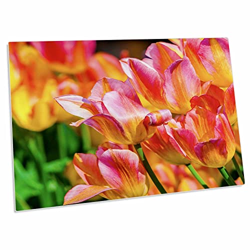 3dRose Tulips Enchanting - Pad grande para escritorio 23x16 in miniatura 1