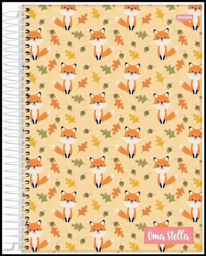 Kit de Cadernos, Jandaia, Universitário, 1 Matéria, Capa Dura, Stella, 80 Folhas, Pacote com 4