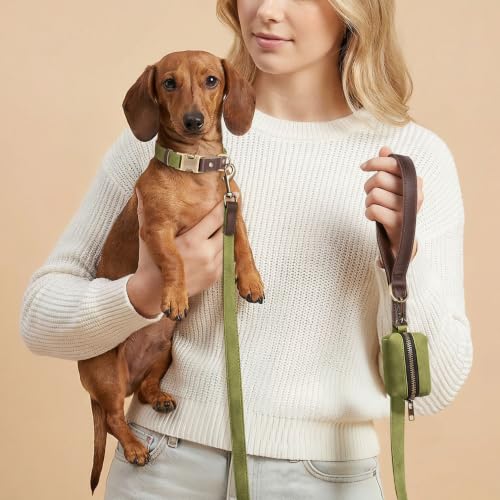 Image of Didog PU Leather Dog Collar for Small Dogs Puppy, Soft Lining,Olive Green S