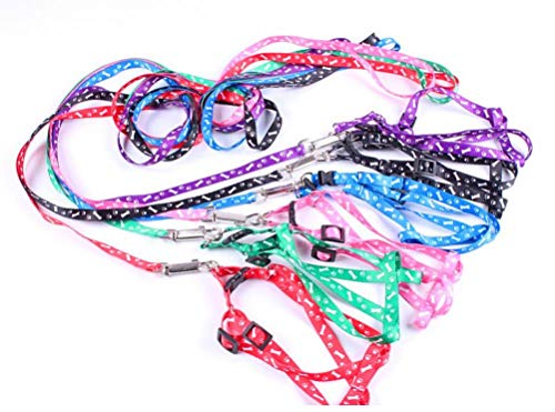 PiniceCore 1 x Nylon Haustier-Katze-Hund Welpen-Leinen Blei-Gurt-Seil-Hot