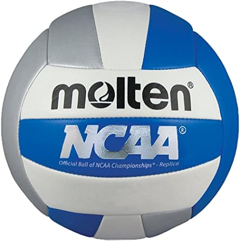 Molten Camp Volleyball (Blue/Silver/White, Official) Cover