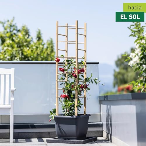 Juego de trepa de madera Windhager de pino para soporte de plantas en jardín 3