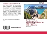 central hidroelectrica de caldas contratacion  Pautas para la ejecución y manejo de una Central Hidroeléctrica: Monografía