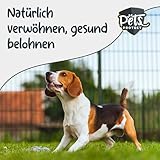 Pets Protect Bio-KOKOSHAPPEN 300 g | Natürliche Leckerlis für Hund & Pferd | Beste Bio-Qualität | Hunde-Snacks getreidefrei & ohne künstliche Zusätze | Leckerli vegan | Deutsche Herstellung