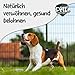 Pets Protect Bio-KOKOSHAPPEN 300 g | Natürliche Leckerlis für Hund & Pferd | Beste Bio-Qualität | Hunde-Snacks getreidefrei & ohne künstliche Zusätze | Leckerli vegan | Deutsche Herstellung